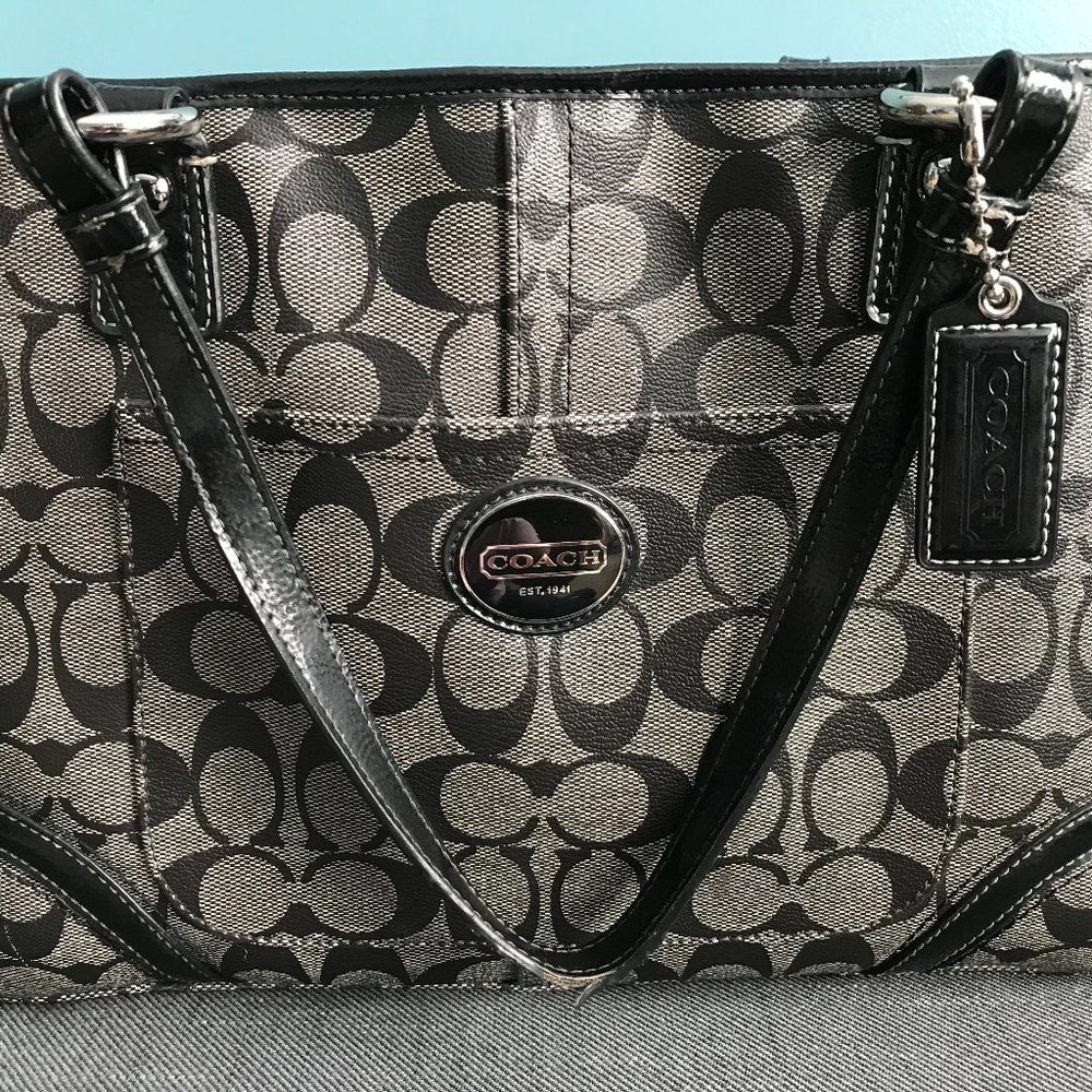 Coach Peyton Shopper Carryall (F18923)